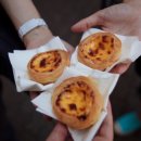 타르트문 이미지