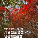 (주)남산환경산업 | 서울 남산 단풍 실시간 현황 이번 주말 단풍 막차 | 남산하늘숲길 코스, 위치, 지도, 주차
