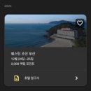 동백로 | 웨스틴 조선 부산 러블리 윈터 패키지 수령, 라운지 후기🎄❤️