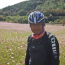 산책길-1 이미지