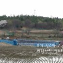 솔향블루베리농원