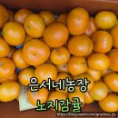 은서농장 | 은서네 농장 새콤달콤 노지 감귤 겨울 간식 추천