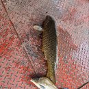 통삼낚시터 이미지