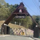 안성맞춤랜드야영장 이미지