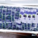 세용농장 이미지