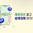 포리애견 이미지