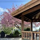 선흘1리 경로당 이미지