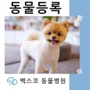 벡스코 동물병원 이미지