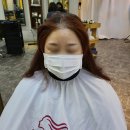 헤나염색 Daum카페