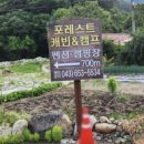 포레스트캐빈앤캠프 이미지