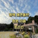 1536 | 💕평택 애견동반 카페 추천 '트리인' 후기 (메뉴, 가격, 주차장, 방문 정보 한방 정리)