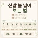 아주배드민턴구장 | 웨이브 클로 EL2와이드(4E) 71GA258465 남자 실내 배구 배드민턴 인도어화 275사이즈, 라이트그레이+그린