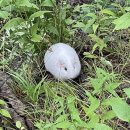 (주)뭉치 이미지