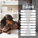 Be동물병원