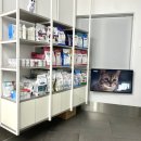 홍경태동물의료원 | [공지] 홍경태 동물병원 후기 2 [고양이 추가접종, 건강검진]