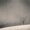 바람의 집 이미지