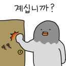 신짜글이닭발 이미지