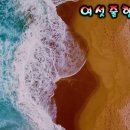 제22탄 Hawaiian wedding Song COVER By:여섯줄행복 이미지