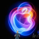 애플 이번에는 '게임 전용 앱'…WWDC25에서 게임 전략 발표 전망 이미지