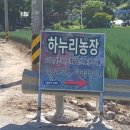 하누리농장 이미지