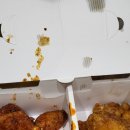 물라피시방 이미지