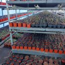 내기농장 이미지