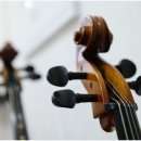 바이올린 1:1 레슨 이미지