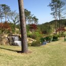 세라지오GC 이미지