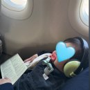 하랑하람 이미지