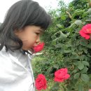 삼호농장 이미지