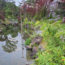 Scarborough Fair 이미지