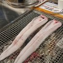 장어의 꿈 이미지