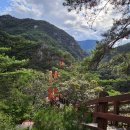 강천산군립공원(현수교) 이미지