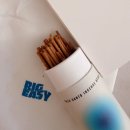 이지미술 | 인센스스틱 추천, 생선냄새부터 화장실 악취까지 잡아준 빅이지 실내방향제 후기