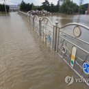 경포대초등학교 이미지