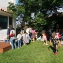 푸르메가살고있는곳 이미지