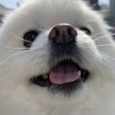 뭉티의 하루 네이버블로그