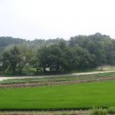 오봉마을 승강장 이미지