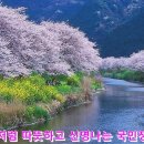 정치권은 안철수 비난할 자격없어..새정치민주연합은 공천권을 국민에게 돌려줘라 이미지