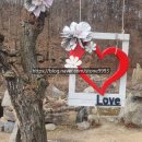 상번천 | 퇴촌식물원 가는길부터 주차장, 입장료까지 총정리! 애견동반 포토존 추천