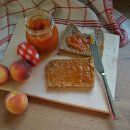 신기해변 이미지