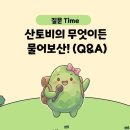 자양2동 제2경로당 | 완도 금당도 배편 시간표 가마바위 교암청풍 트레킹 등산 후기