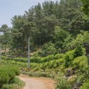 장령산자연휴양림 이미지