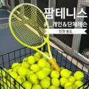 짱테니스아카데미 | [송도] 팜테니스 아카데미 : 인천 송도 실내 테니스 개인레슨 단체레슨 초보 가능
