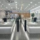 레몬트리 안경콘택트 이미지