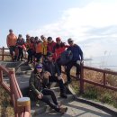 제주의 추억 이미지