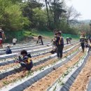 큰마을 농장 이미지