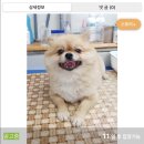 짱구네동물병원 이미지