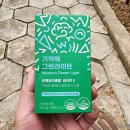 징코라이프(주) | 다이소 영양제 추천, 가성비 좋은 오브맘 기억력 그린라이트 한 알 후기