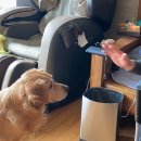 레오까까 이미지